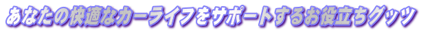 Ȃ̉KȃJ[CtT|[g邨𗧂Obc